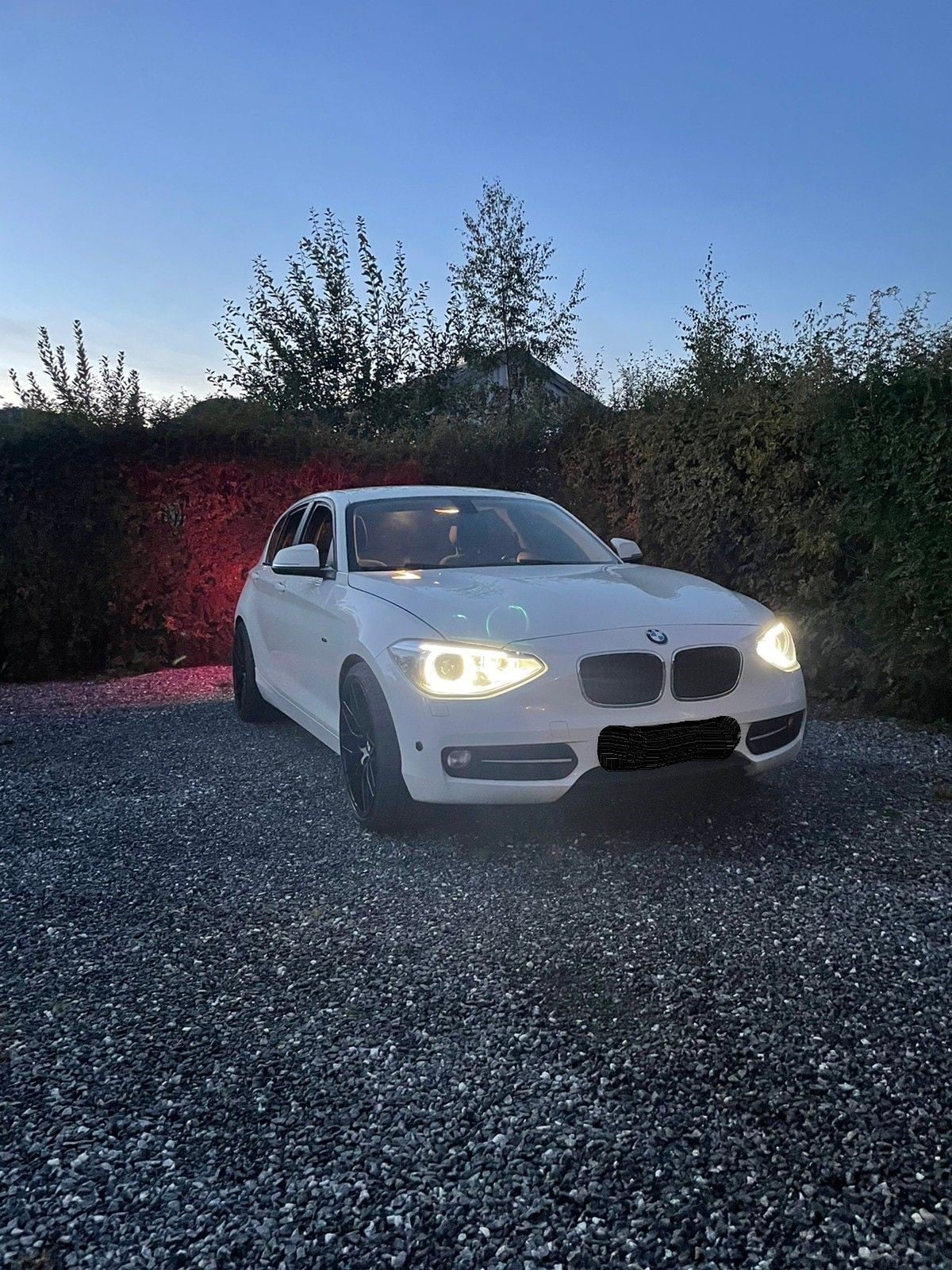 BMW Série 1 116d EfficientDynamics