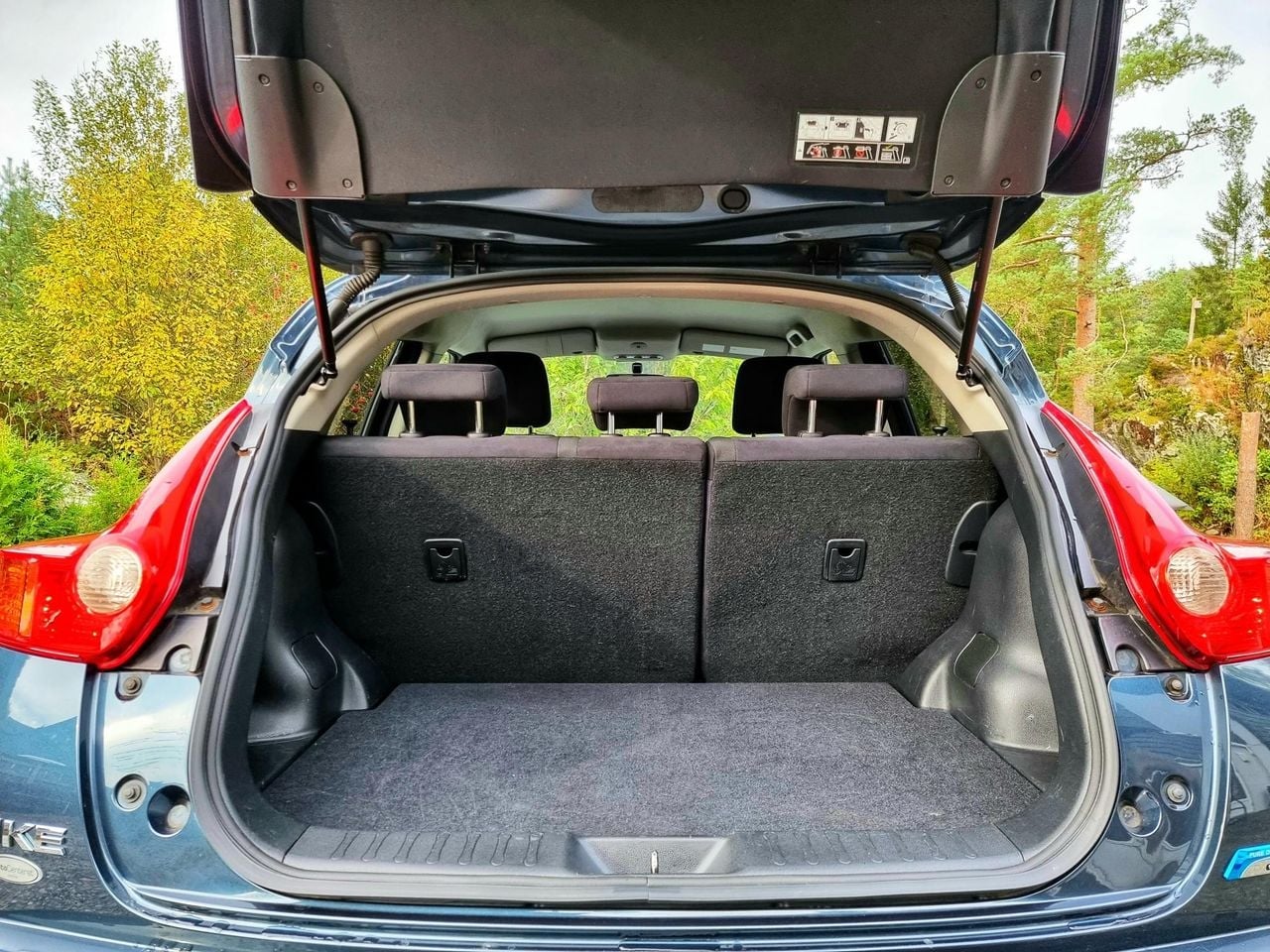 Nissan Juke 1.5 dCi 110